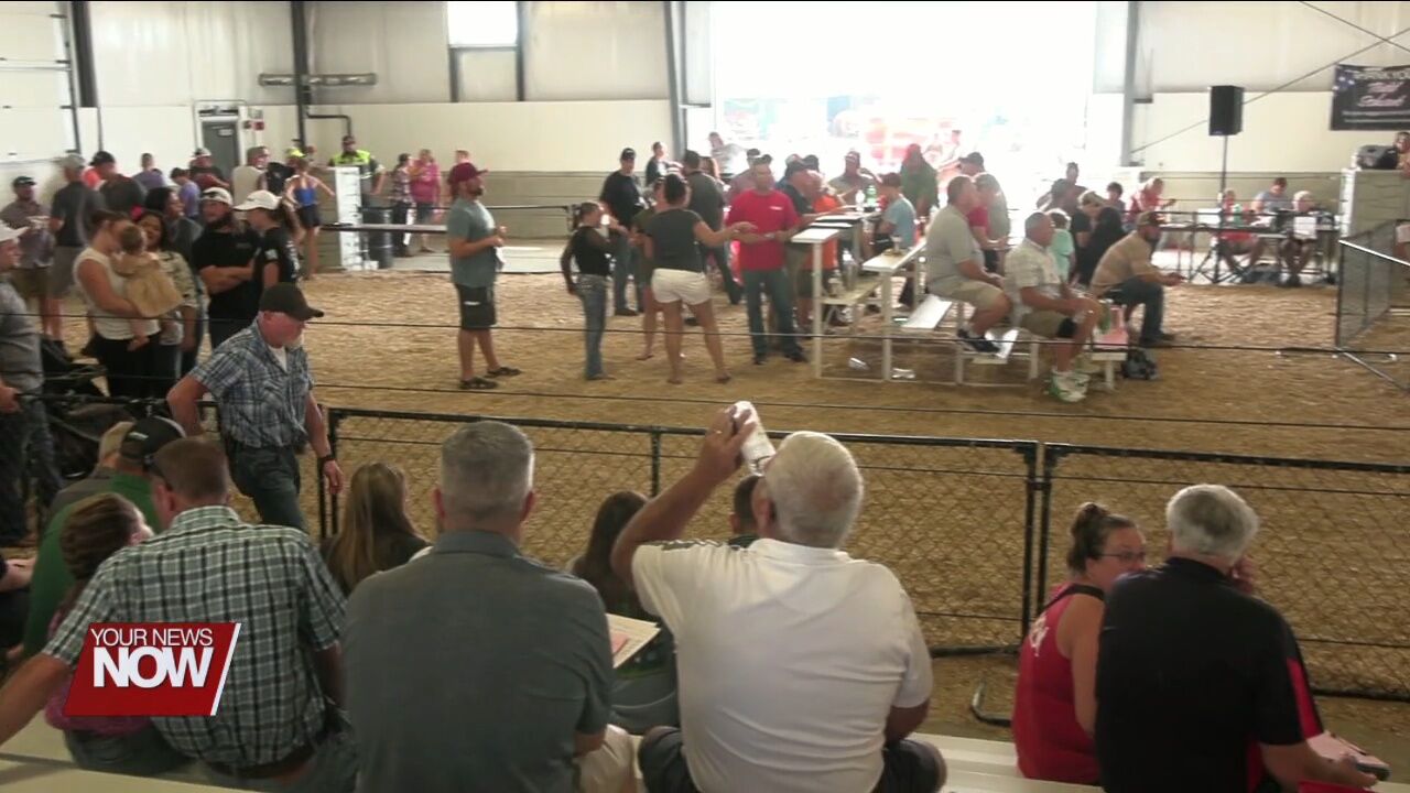 Auglaize County Fair's Jr. Fair Livestock Auction pays kids for their successful projects